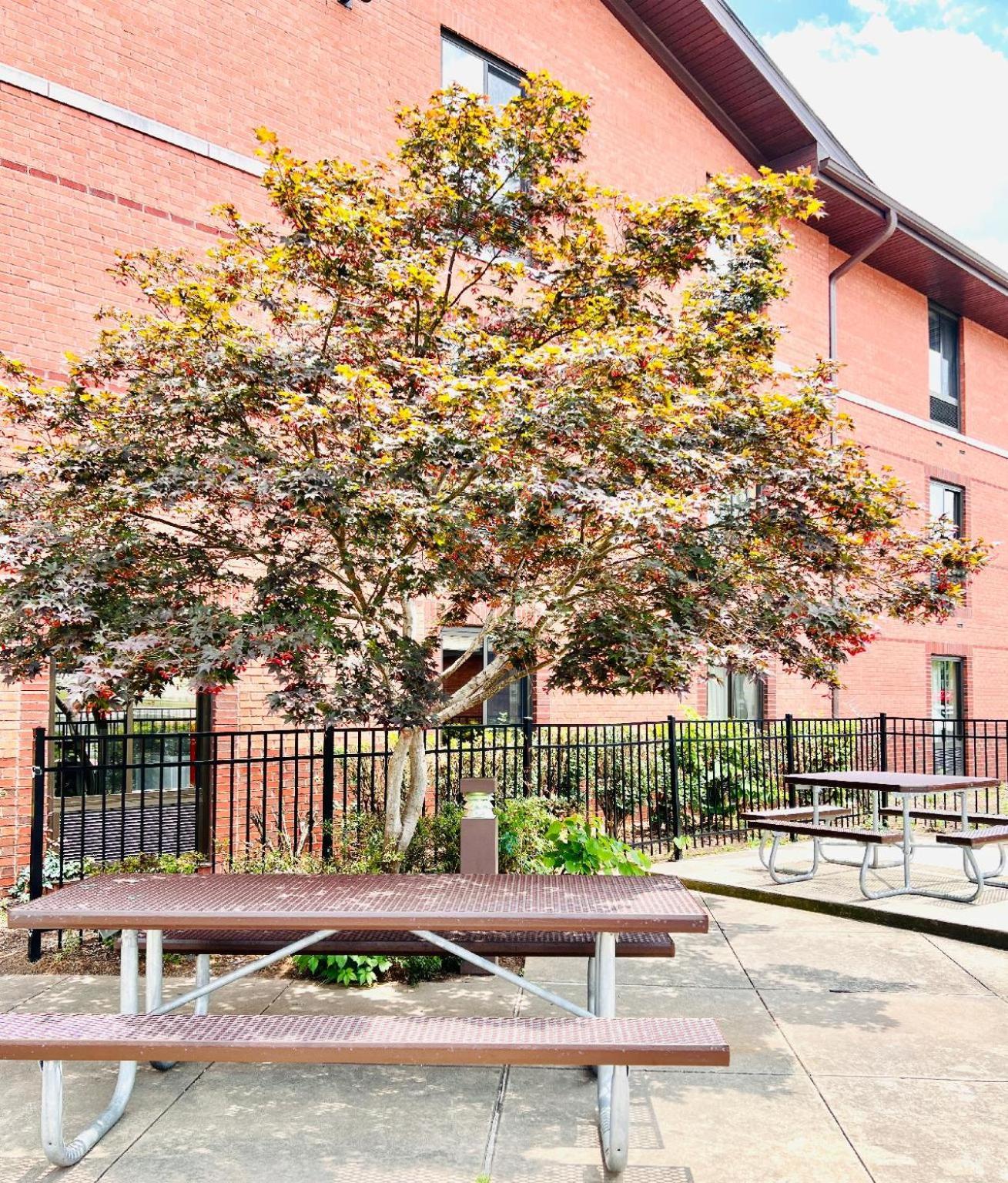 Mainstay Suites Little Rock West Near Medical Centers Εξωτερικό φωτογραφία